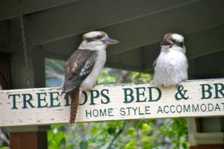 Treetops Bed & Breakfast Blackburn Ngoại thất bức ảnh